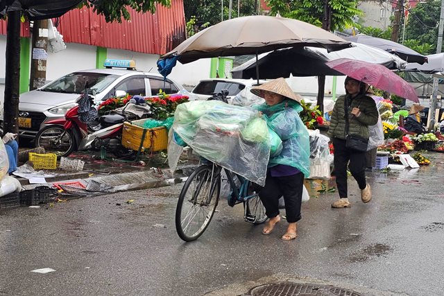 Miền Bắc chuyển mưa rét từ chiều tối nay, các tỉnh thành phố chủ động ứng phó
